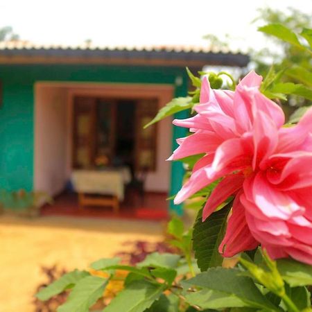 Yoho Nilmini Homestay Ела Екстериор снимка
