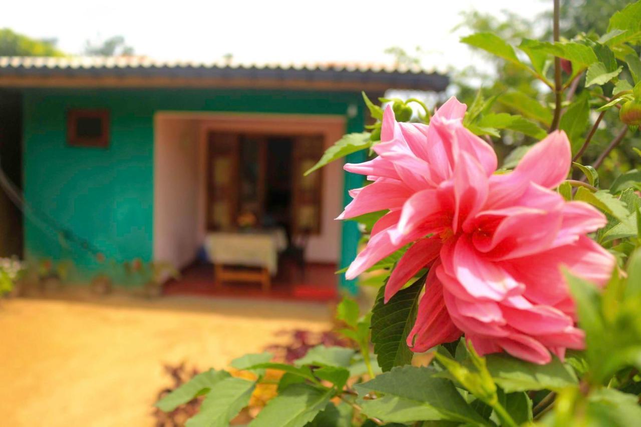 Yoho Nilmini Homestay Ела Екстериор снимка